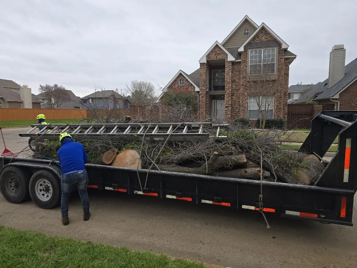 Expert Tree Fertilization with proper safety equipment in Bronxville